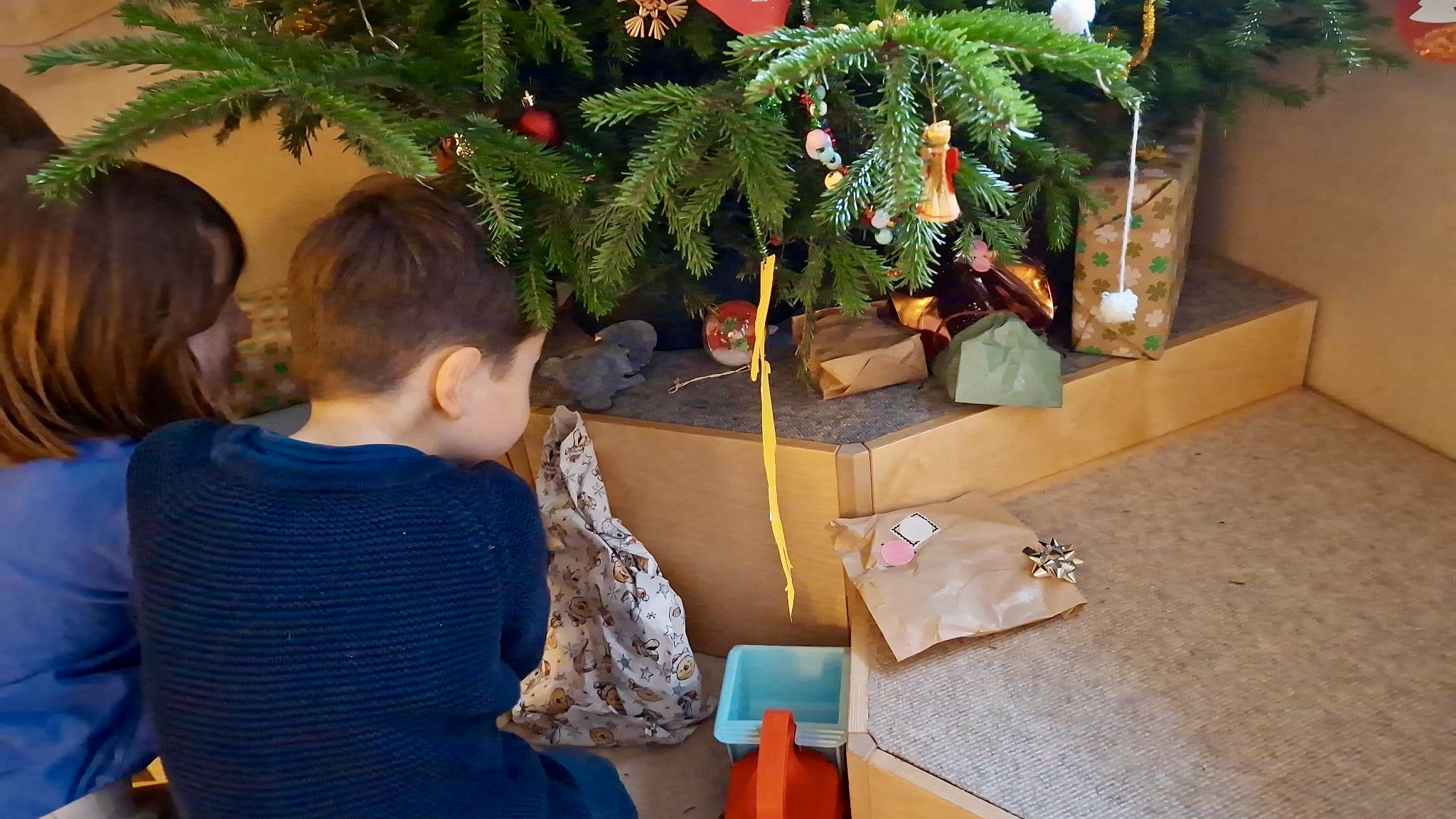 Überraschungen unter dem Weihnachtsbaum