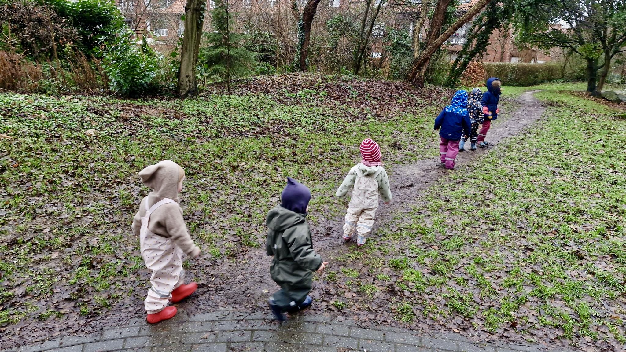 Spaziergang in der Natur
