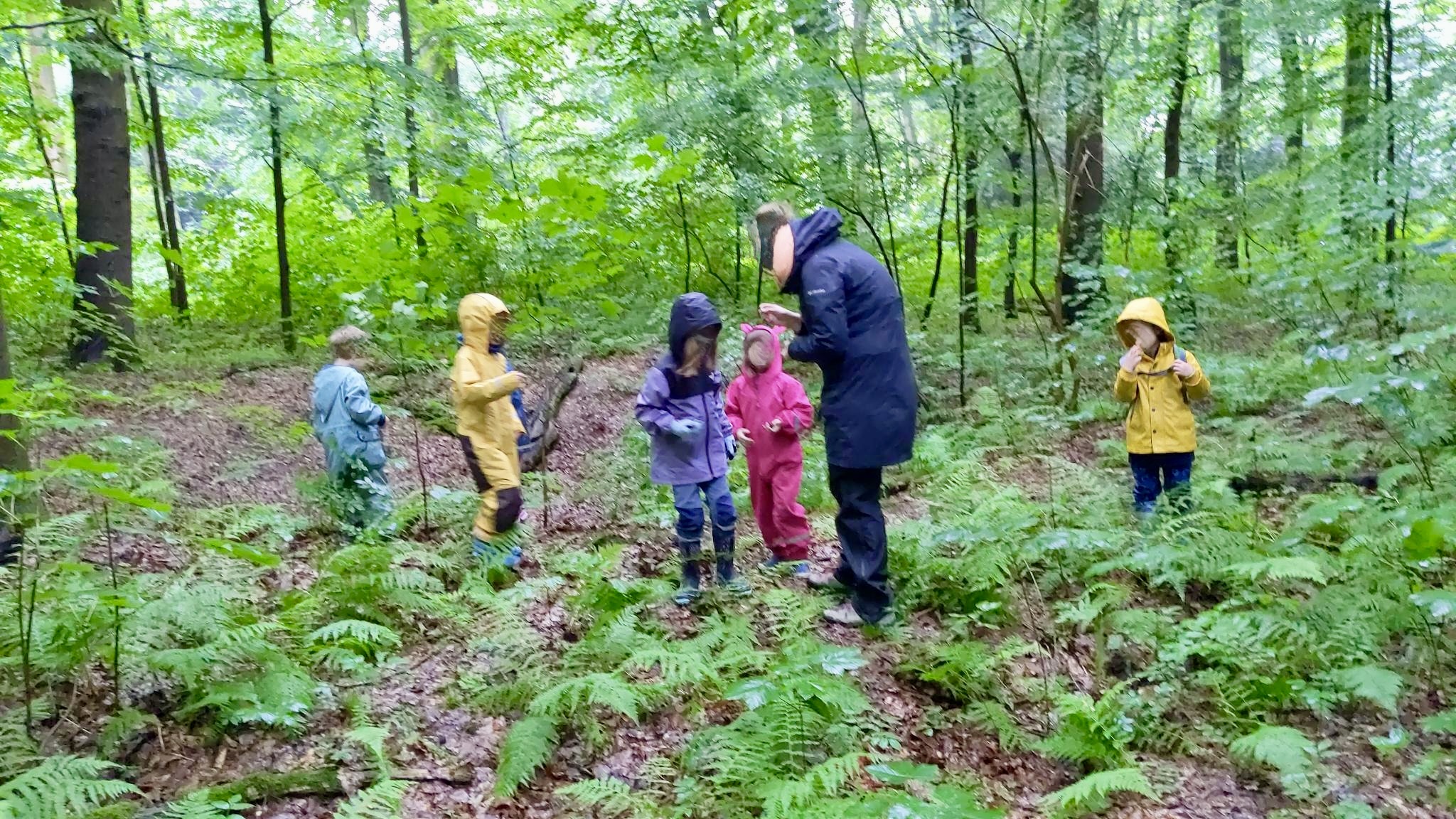 Natur und Wald erkunden